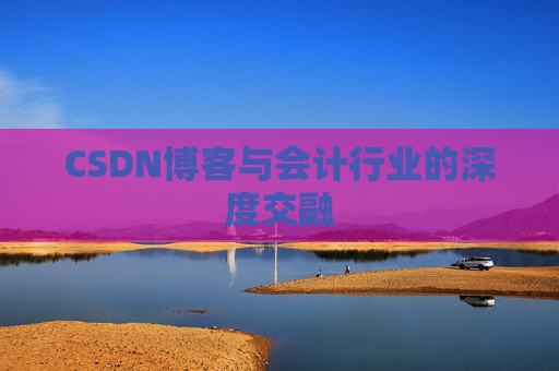 CSDN博客与会计行业的深度交融